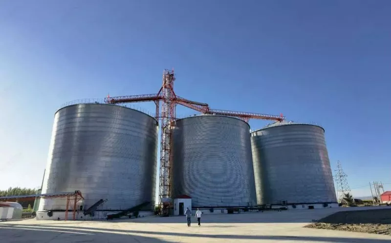 Hanga maitai witi Silo